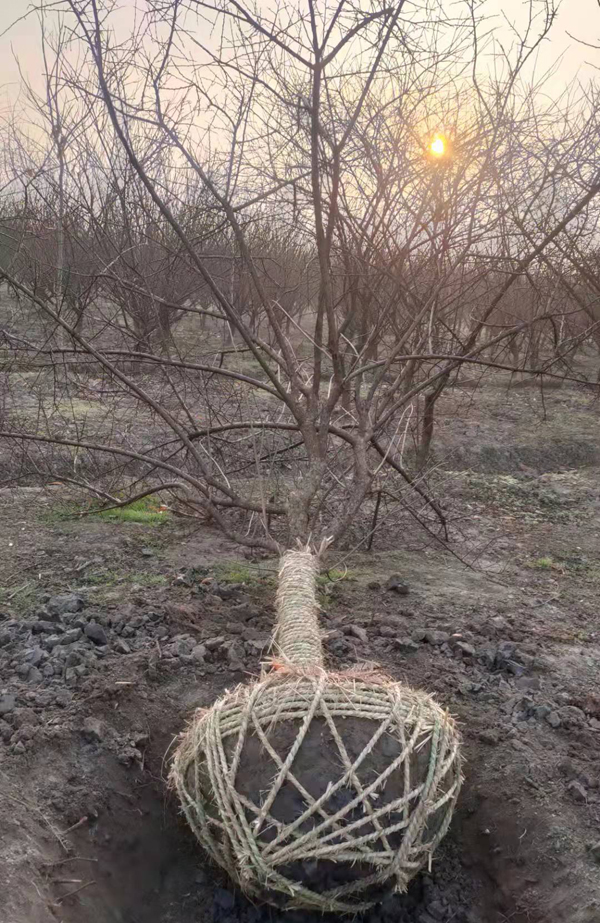 10ּt÷Ϸʹ